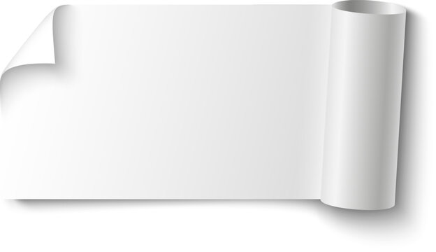 Blank white paper scroll banner element with a curled corner and rolled end