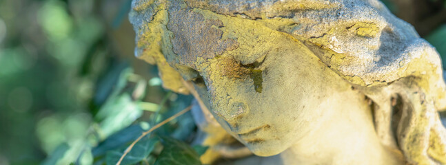 Naklejka premium Peaceful angel statue surrounded by green ivy in warm sunlight