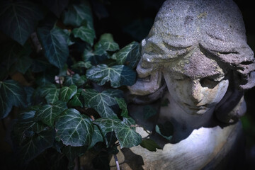 Naklejka premium Sad angel statue hidden among ivy leaves in dark cemetery atmosphere
