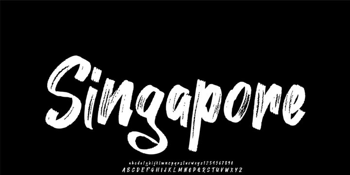 Singapore font. Brush vector font with texture. Creative hand drawn uppercase. Classic lettering fashion designs Typography script decorative vintage concept vector illustration