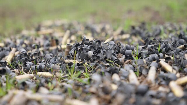 Close up of bullet casings pile with shallow depth showing metallic shells on ground