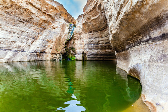 The Negev Desert.