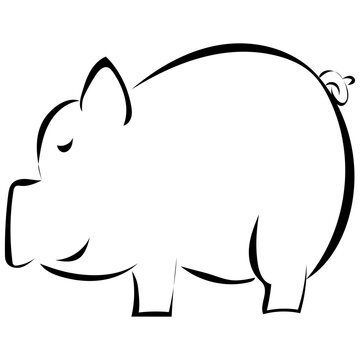 Schwein