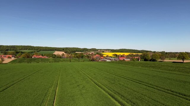 Green farmland with cultivated fields and bright yellow rapeseed patches surrounding a small rural village in the European countryside under clear blue sky in springtime. Aerial flyover shot.