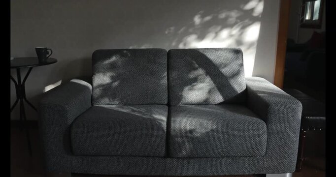 Afternoon sunlight filtered through the leaves, casting dappled shadows on the gray sofa.