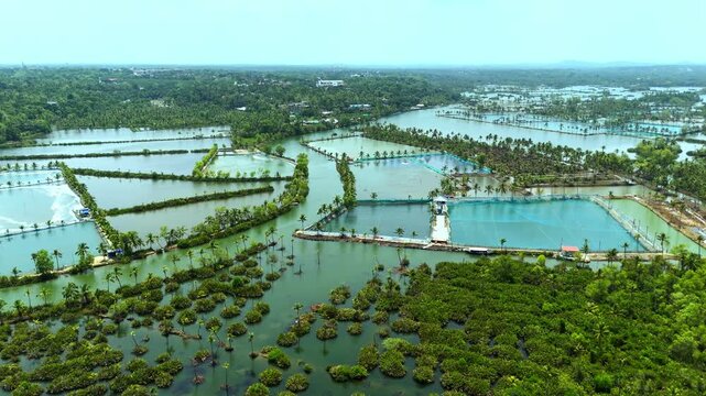 Aerial view of Vakala serene tropical backwater landscape with lush green mangroves, Boats glide across the expansive water under a clear blue sky, Kerala Backwaters
