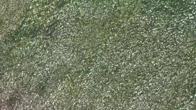 Abstract green texture of shimmering water, natural background in motion