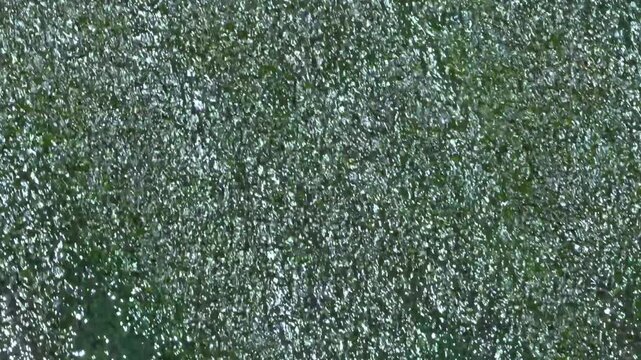 Sparkling green water texture with glitter effect, abstract background in motion