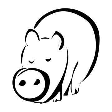 Schwein