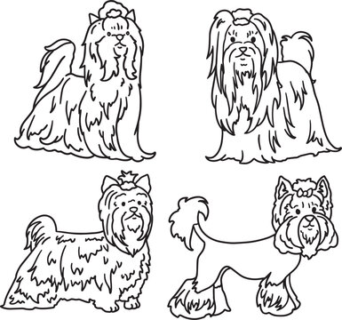 Yorkshire terrier line art set small fluffy dog doodle cute pet outline minimalist black contour hand drawn clipart for grooming salon pet accessories veterinary packaging coloring pages simple sketch