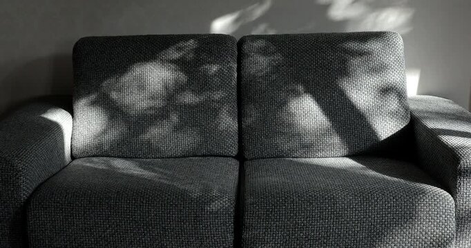 Afternoon sunlight filtered through the leaves, casting dappled shadows on the gray sofa.