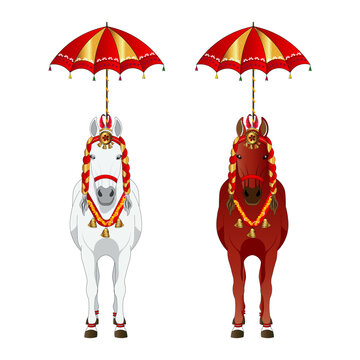 Indian Wedding Baraat Horse for Groom Entry with Royal Ghodi Decoration for Hindu Marriage Ceremony vector illustration 
