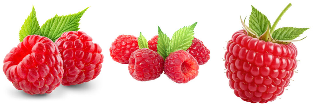Collection of fresh raspberries with green leaves, isolated on transparent background