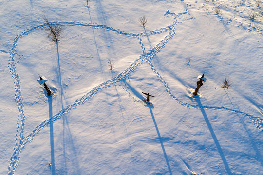 Aerial view of the Hill of Angels featuring wooden sculptures and long shadows on a snow-covered field in Traku rajonas, Vilniaus apskritis, Lithuania.