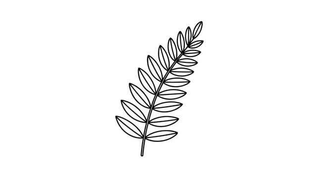 Symmetrical fern frond outline &ndash; Suitable for herbal medicine packaging, environmental icons, or minimalist decor.