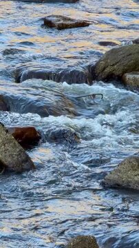 Pair of lost eyeglasses submerged in a rushing mountain stream, representing forgotten personal items and the unexpected intersection of human objects and wild nature. Vertical