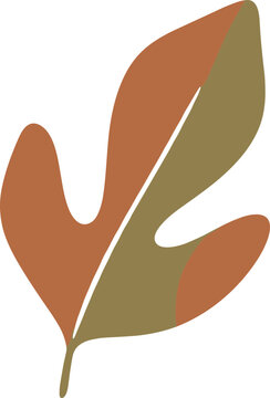 Autumn fig leaf illustration in warm earth tones, minimalist design
