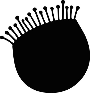 Minimalist Black Silhouette of a Drosera Plant with Tentacles