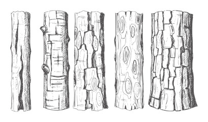 Five hand drawn tree trunk sections with varied bark textures wood © Mehedy