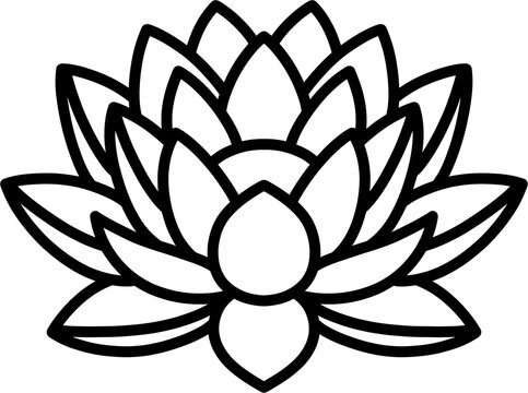 연꽃 3 흑백