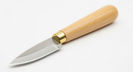 Fototapeta premium Wood handle knife with stainless steel blade resting on white background. This knife features a smooth wooden grip and shiny blade, ideal for culinary tasks.