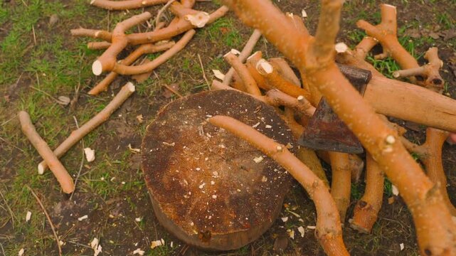 Man chopping branches with axe on tree stump in yard. Splitting tree limbs into firewood with hatchet showing wood chips flying