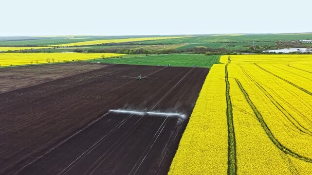 Farmers spray water on fields where green and yellow crops grow. The land is divided into sections showing different stages of farming. It is early in the day.