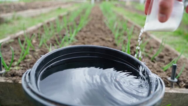 Close up slow motion of pouring water soluble granular fertilizer into bucket of water. Garden bed background with fertilizer dissolving in slow mo