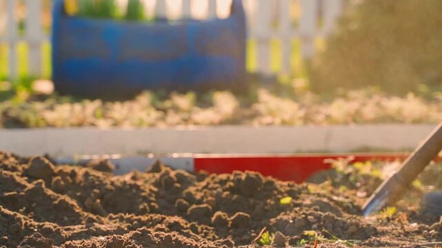 Slow motion digging vegetable garden bed with shovel. Backlit sunset lighting