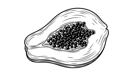 Fototapeta premium Black and white illustration of a sliced papaya with visible seeds on white