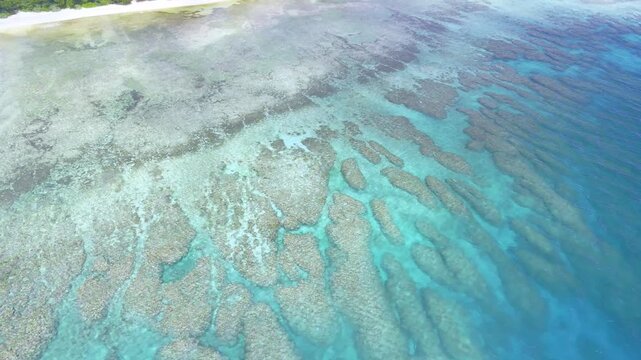 Detailed drone perspective of vibrant coral reef structures visible through crystal clear tropical waters.