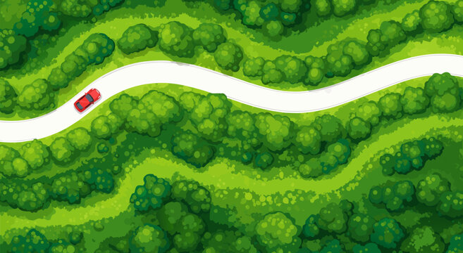 A top-down vector illustration of a red car driving along a winding road through a vibrant green forest with lush trees