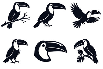 Obraz premium Toucan bird silhouette collection in various poses