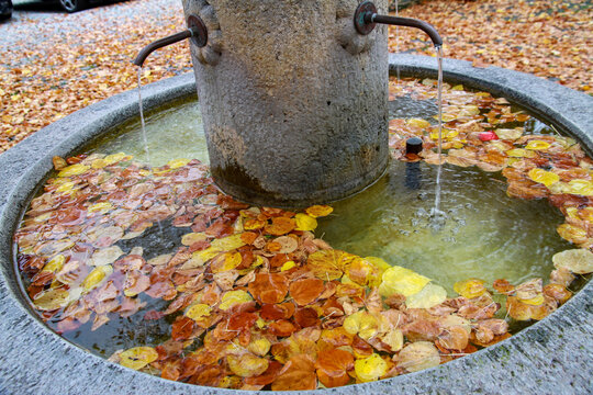 Stone city fountain filled with yellow autumn leaves. Close-up of flowing water and fallen foliage in historic Memmingen, Bavaria, Germany.