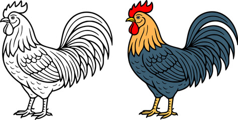 Chicken / rooster minimalist icon illustration in line art and colored design, for coloring page © Bambang