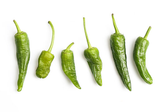 Fresh green padron peppers isolated on white background. Organic chili vegetables close up. Raw cooking ingredients for healthy meals and spicy cuisine concept. Clean food composition