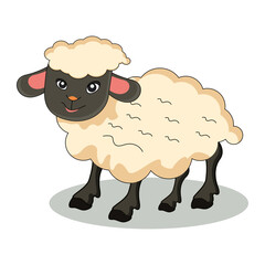 Obraz premium Sheep vector illustration