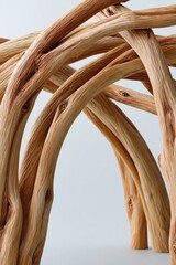 Obraz premium Close up intertwined wooden vine texture background with curved natural branches for design and wallpaper