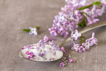 Purple lilac flowers in sugar with fresh flowers and vintage spoon © DIA