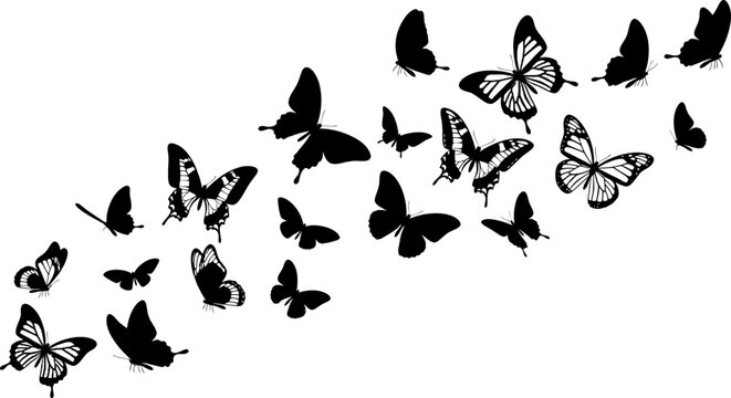A swarm of various butterflies flying in a decorative silhouette arrangement.