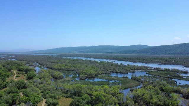 Aerial View of Karacabey Longoz Forest in Bursa with Flooded Wetlands, Natural Water Channels and Dense Green Marsh Landscape