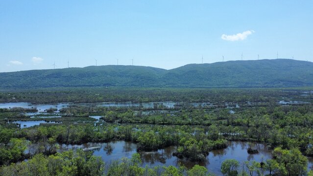 Aerial View Wetland Water Surface and Floodplain Landscape with Natural Water Channels and Dense Green Trees, Karacabey Longoz Forest in Bursa