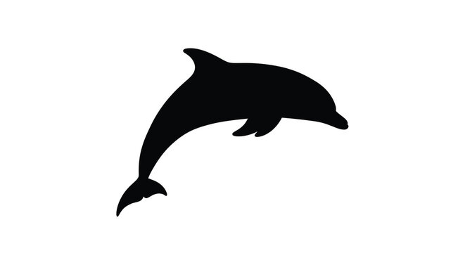 Dolphin silhouette jumping out of water black shape on white background