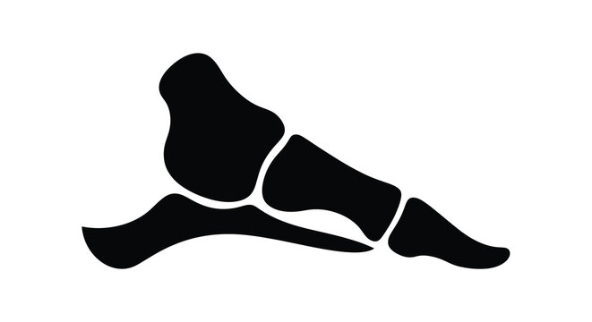 Anatomical silhouette of a human foot bone structure