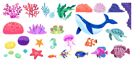 Ocean Marine Life Vector Illustration Collection © Macrovector
