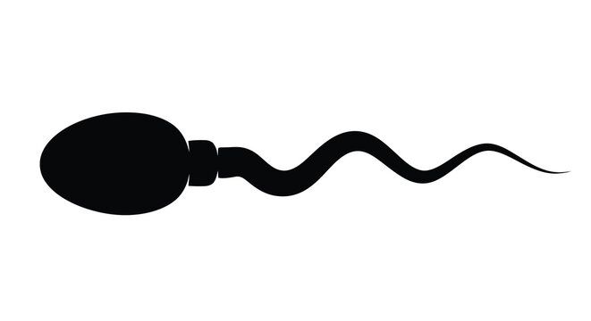 Sperm silhouette icon black on white background