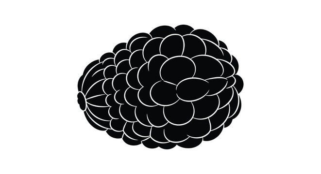 Black silhouette of a sugar apple fruit annona squamosa isolated on white background