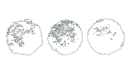 Minimalist outlined tree top view icons for architectural site plans and landscape layout. © Sara Studio