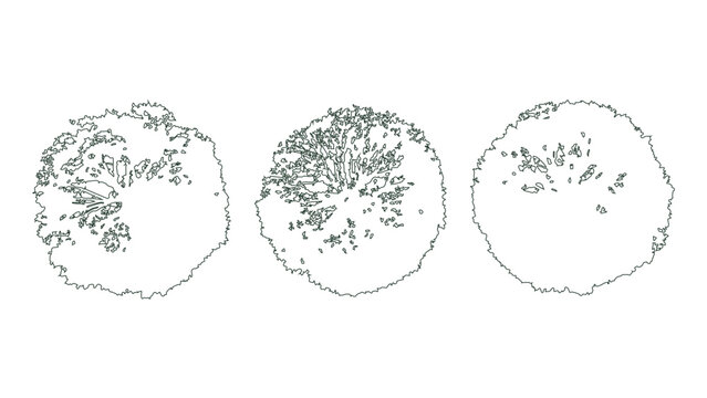 Minimalist outlined tree top view icons for architectural site plans and landscape layout.