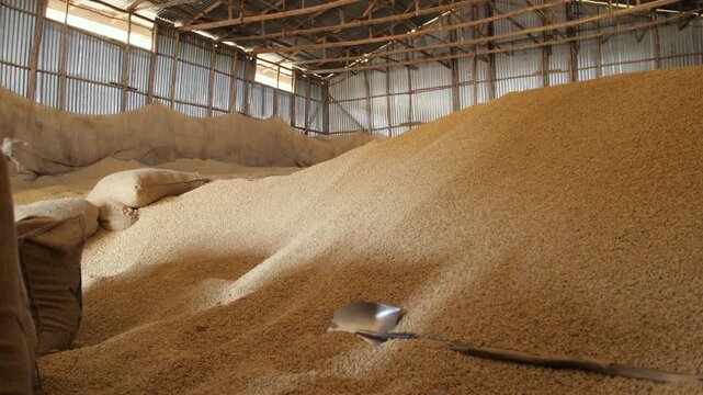 Le caf&eacute; r&eacute;colt&eacute; est stock&eacute; dans l&rsquo;immense entrep&ocirc;t d&rsquo;une coop&eacute;rative, en Ethiopie